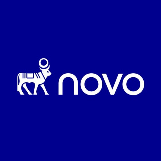 Novo logo