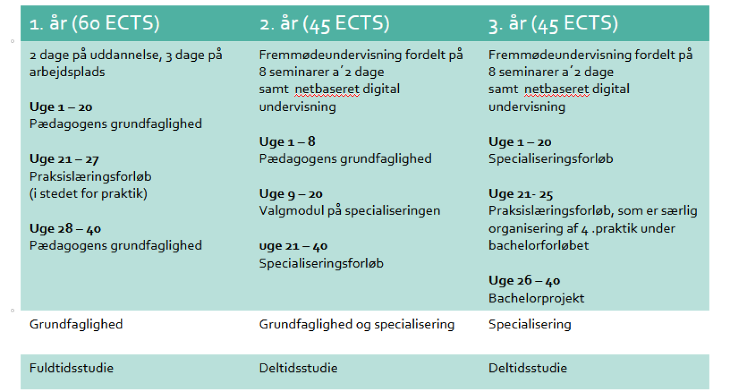 Grafisk figur de viser uddannelsens tilrettelæggelse