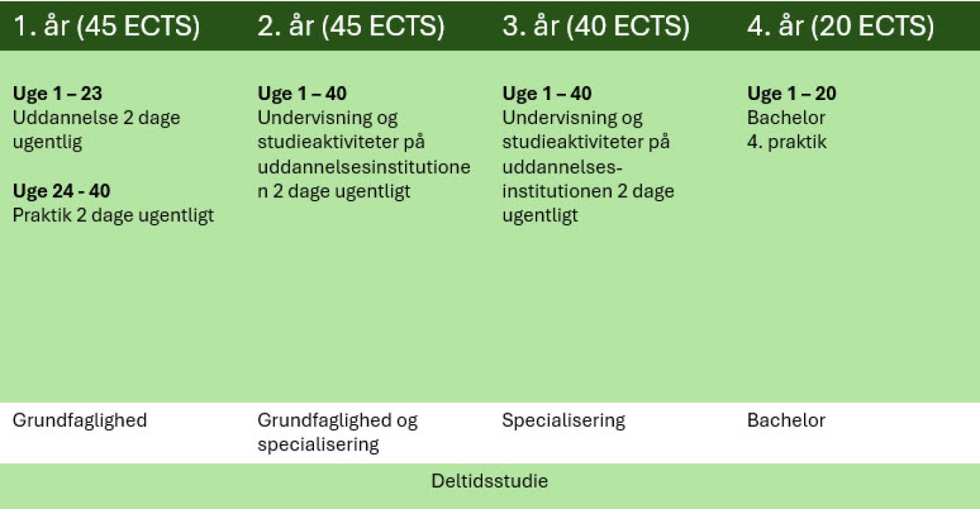Figur der viser uddannelsens opbygning over 3,5 år