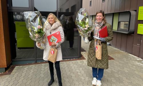 Dimitterende diplomingeniører